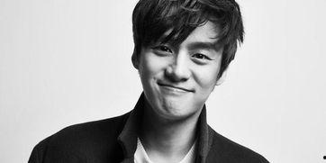 韩国明星盛吴,韩国娱乐圈的璀璨新星